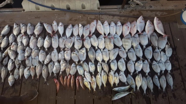 Recompensa tras una jornada de pesca en Huelva