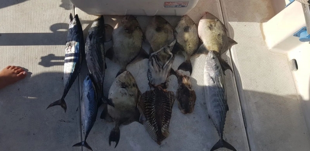 Charter-Cayman-pesca-Huelva-11_resultado