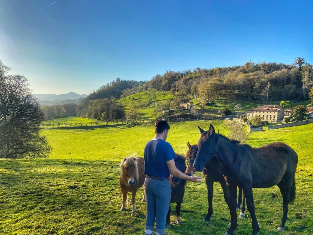 Un usuario de pie junto a dos caballo y un par de ponys