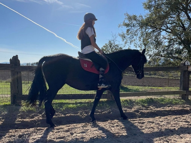  Walking a horse 