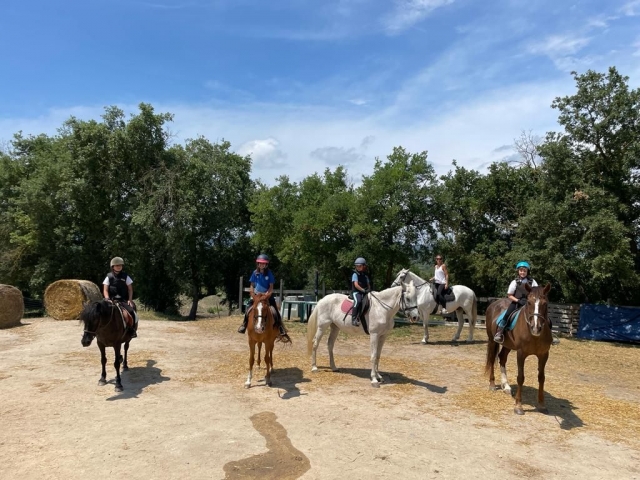  Come horseback riding 