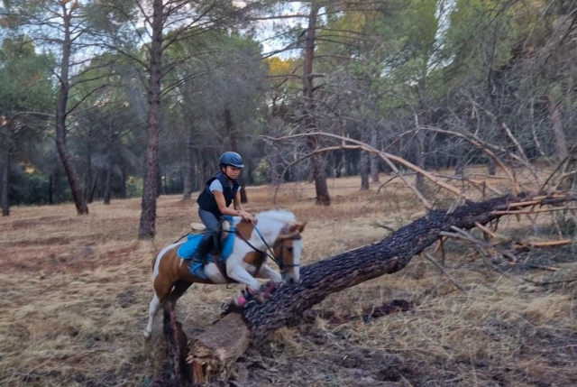 Una niña en el interior de un bosque sortea la rama de un árbol saltando