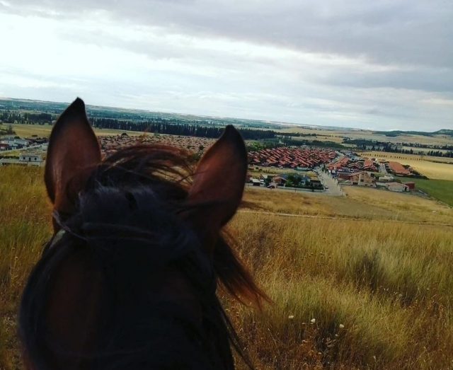  In prima persona immagine attraverso il cavallo