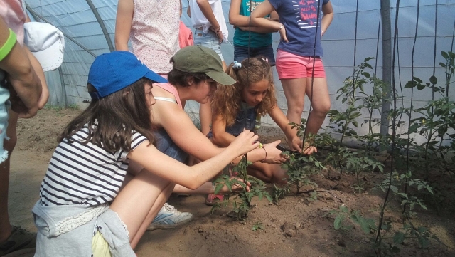  Collecting food from the garden 