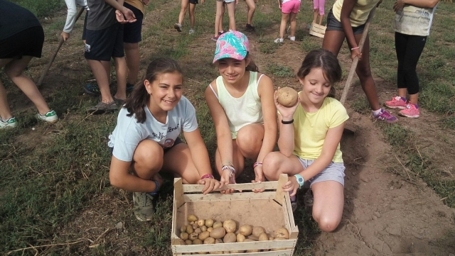  Happy children after the harvest 