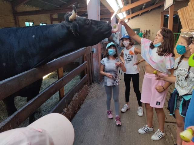 Taking care of the farm