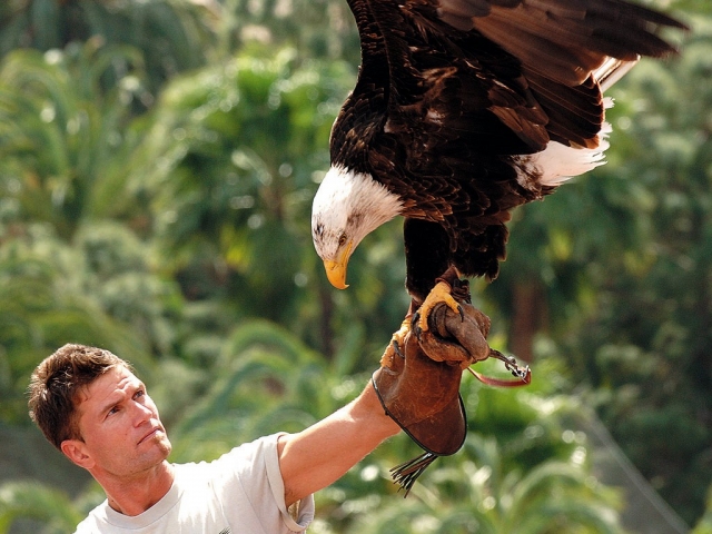  Falconeria al Palmitos Park 