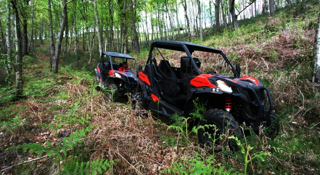  Buggy, der Staub auf den Straßen aufwirbelt 