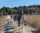 Rutas a Caballo Guadalix De La Sierra