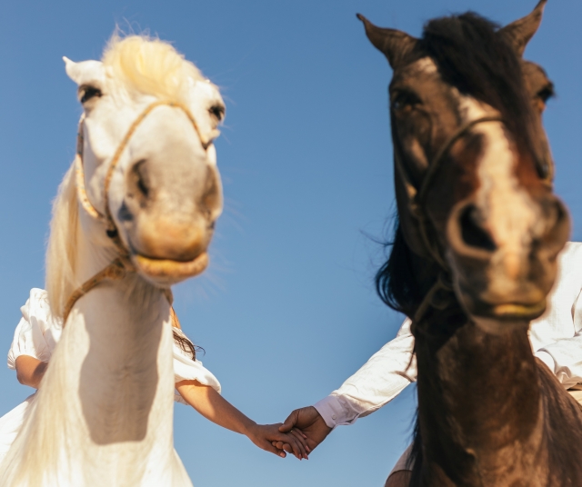 Dándose la mano subidos a un caballo blanco y negro, respectivamente