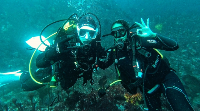 Pareja de buzos disfrutando de la experiencoa