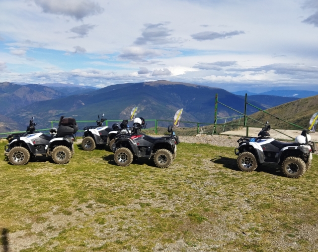 Nuestros vehiculos