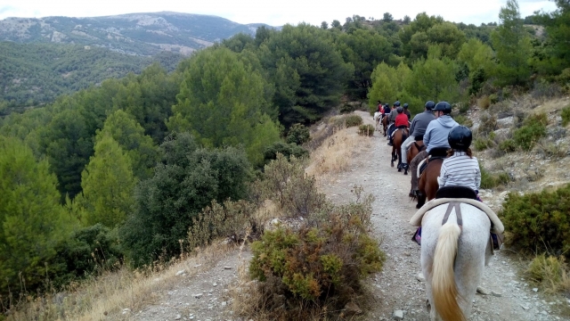  Family horseback riding route 