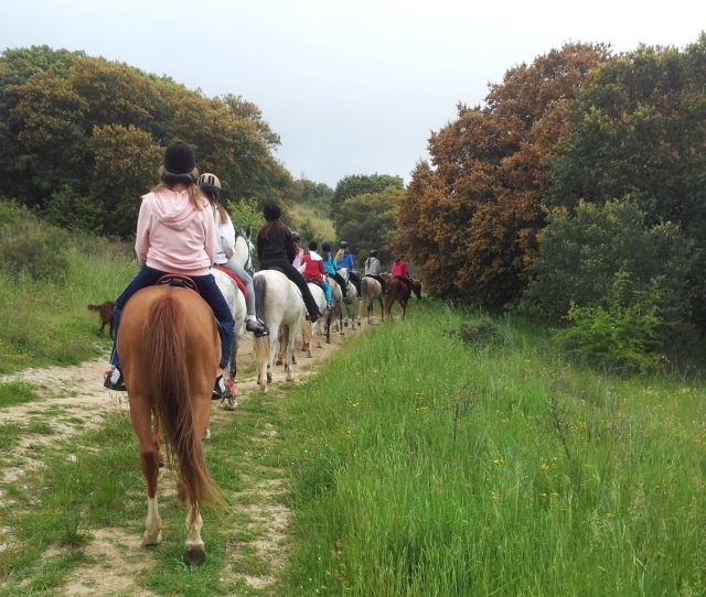 Explora el entorno madrileño a lomos de un caballo