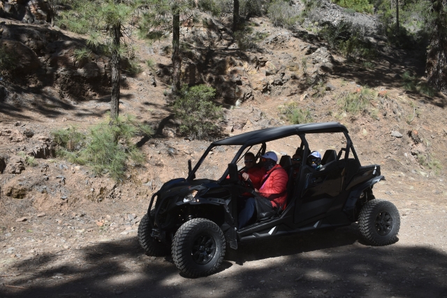 Os mais surpreendentes buggies de 4 lugares 