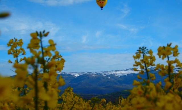  Voler en ballon 