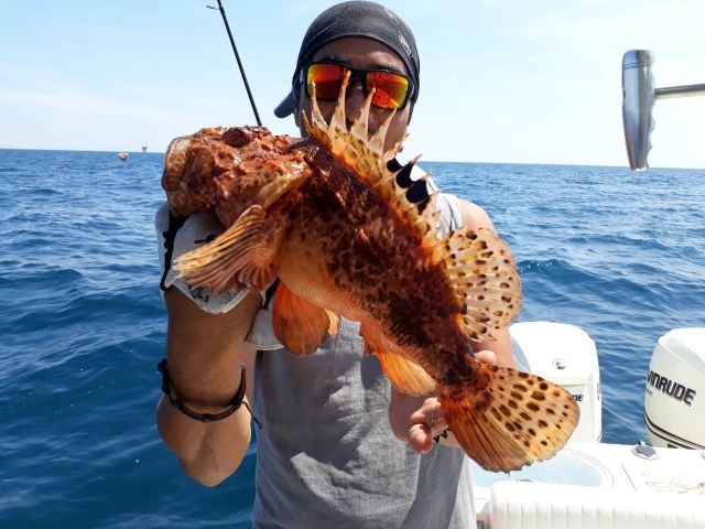 Capturas en la pesca deportiva