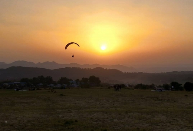 Volando