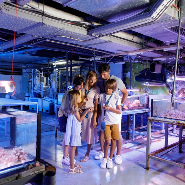  Genießen Sie den Besuch im Aquarium 