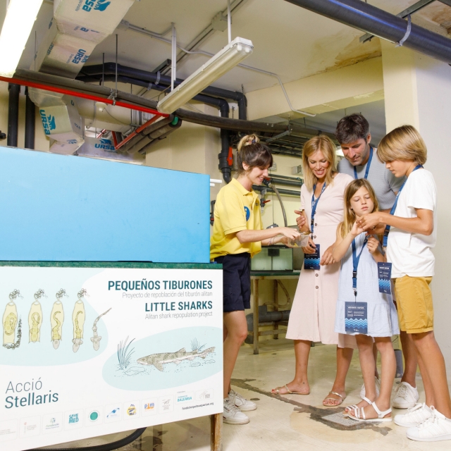  Ascoltare le spiegazioni della guida