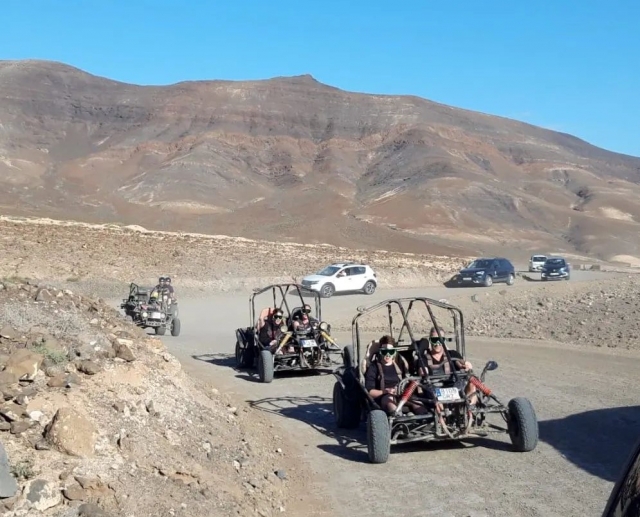  Sollevare la polvere con i buggy (2) 