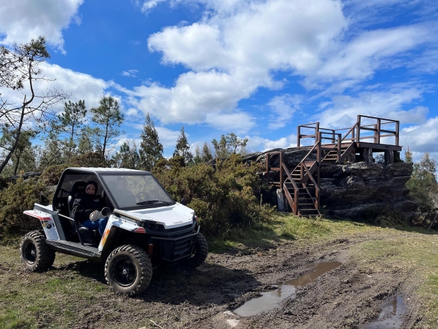  Two-seater buggies 