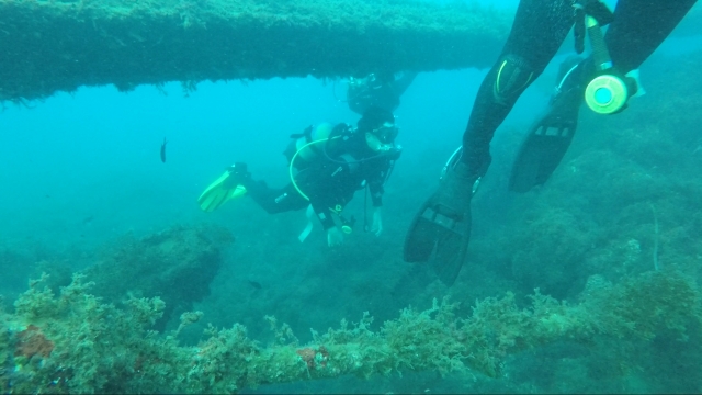 Explorando el fondo marino