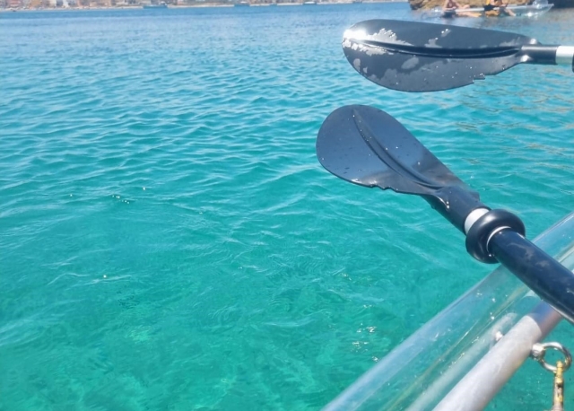 Turquoise waters 