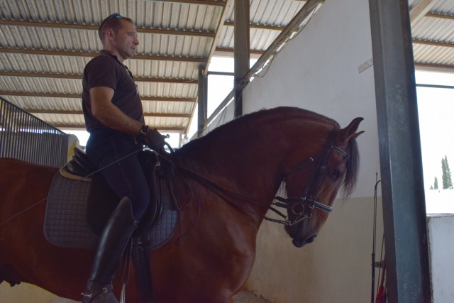  Take horseback riding routes with the best instructors 