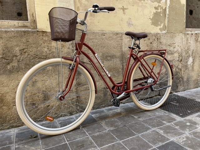  Bicicletta marrone 