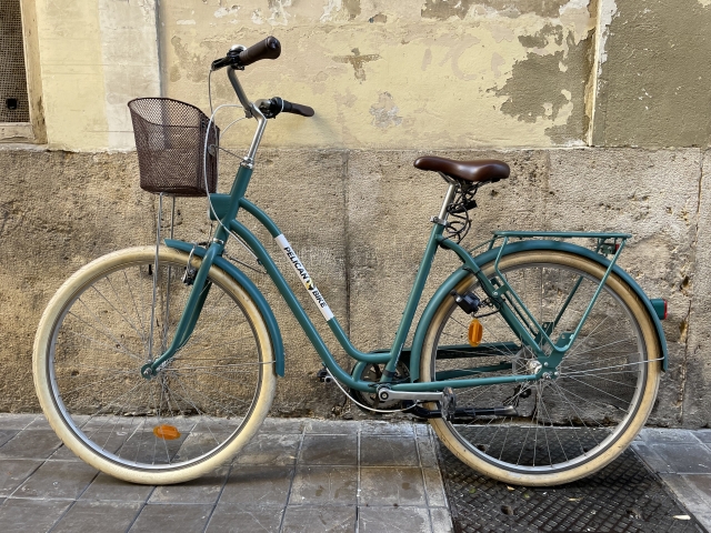  Bicicletta verde 