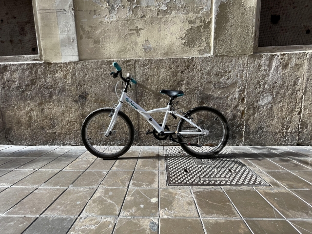 Bicicletta per bambini 