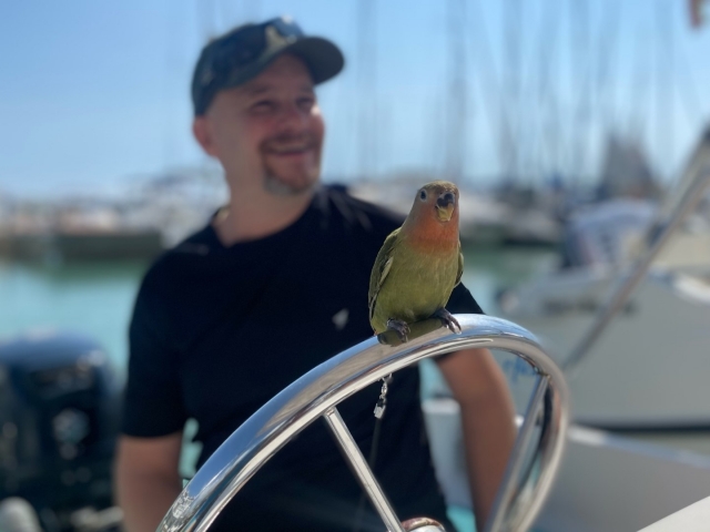  furrowing the Mediterranean of the Azahar coast 