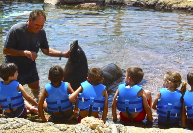  Les enfants découvrent ces animaux 