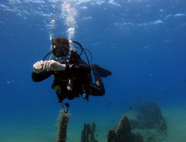 Descubriendo los secretos marinos