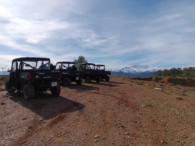  Buggies SUV