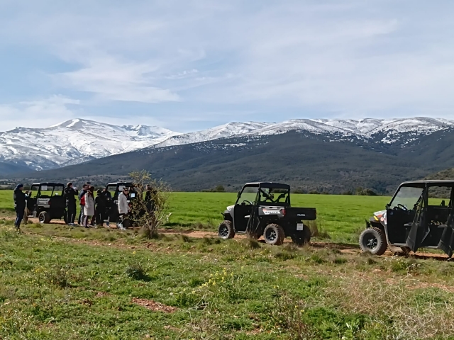  Exploration en buggy tout le terrain 