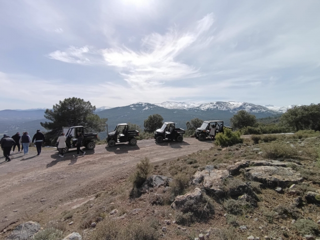  Vérifier les routes de Grenade en buggy 