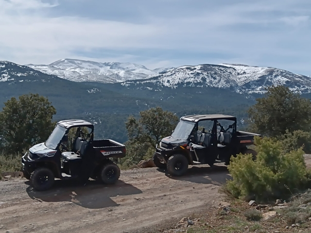 Rota em biplaza de buggy por Sierra Nevada, 3h30min