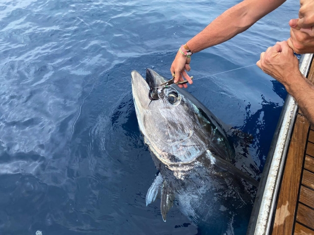 Fishing Charter in Dénia 