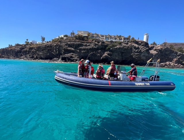  Osservazione dei delfini vicino a Fuerteventura 