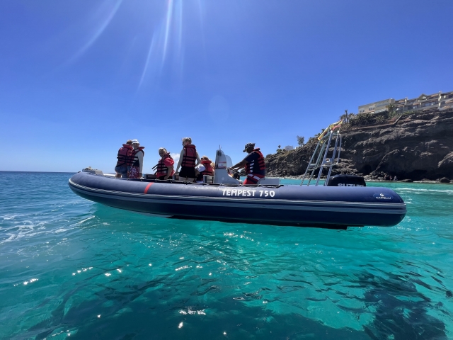  Avvista i delfini dalla barca