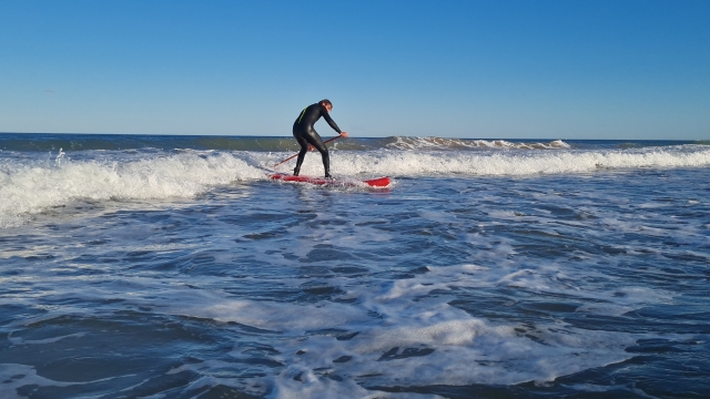 Stand up paddle