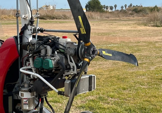 Motor del ultraligero