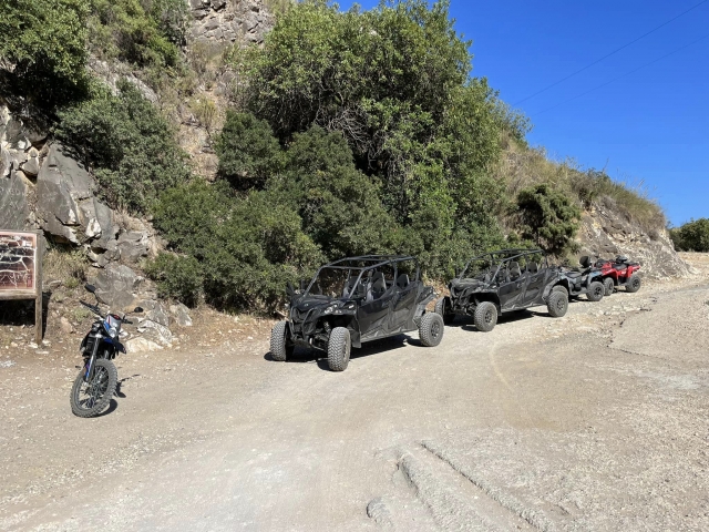  Buggy da 4 posti a Mijas