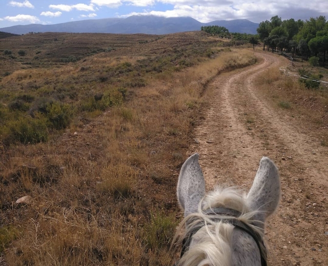 Ruta ecuestre por el Moncayo