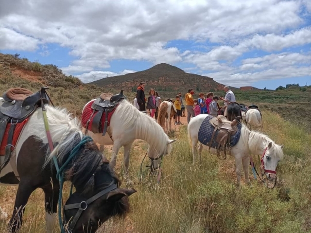 Caballos pastando durante la ruta