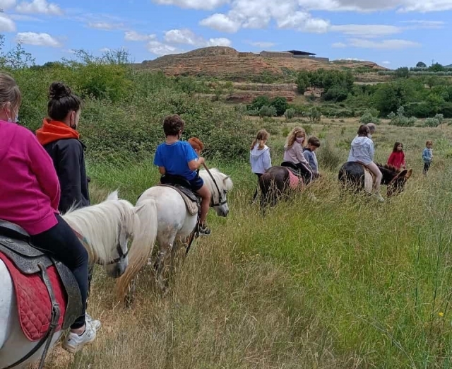Por la Ribera del Queiles con los caballos