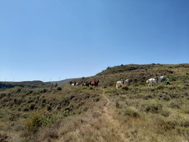 Campos zaragozanos a caballo