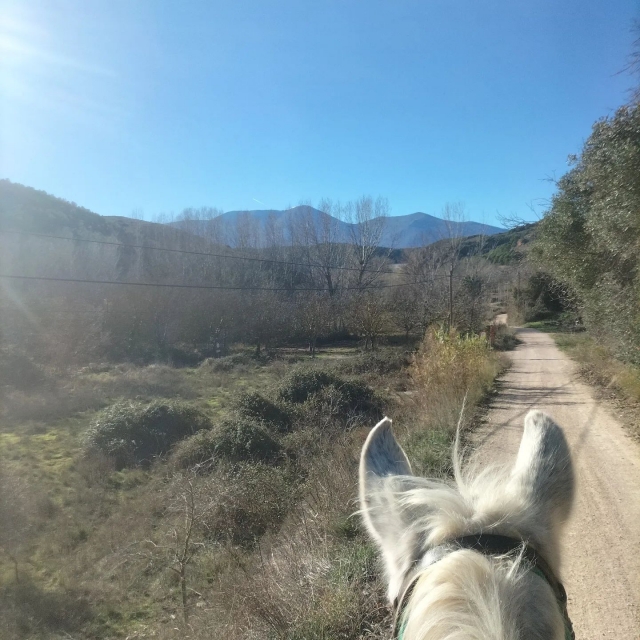 Interesantes rutas a caballo